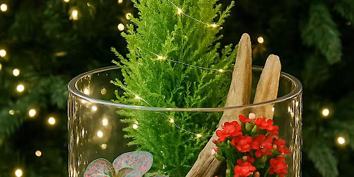 Holiday Terrarium Workshop