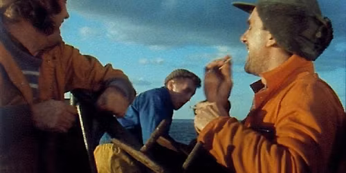 Baltic Cinema: In Fading Light