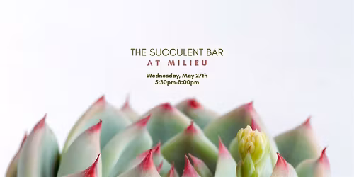 The Succulent Bar at Milieu