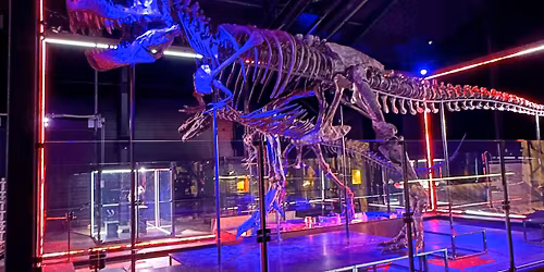 Knuthenborg Tur + opl\u00e6g og rundvisning fra Christopher Knuth