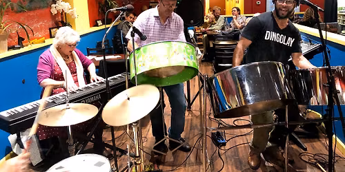 Dingolay-Live Steel Pan Music