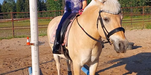 Working Equitation -kurssi 2.-3.5. 