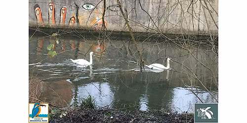 Introduction to Green Cleaning Solutions