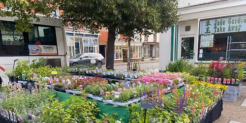 Pop Up Plant Stall