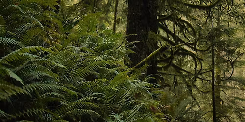 Public Trail Day on Corkscrew