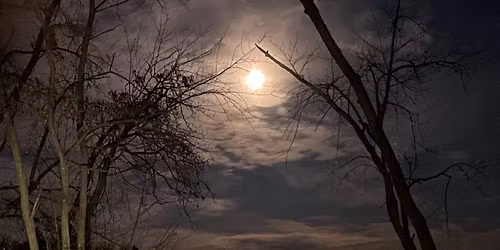 Mosinee Logjam Festival 2026