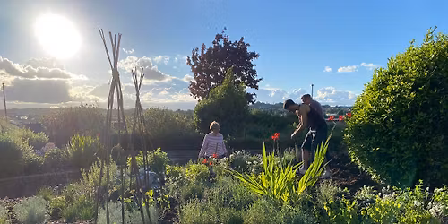 Volunteer Evening