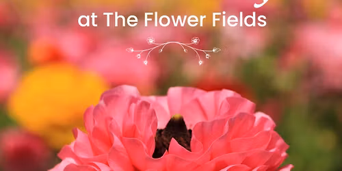 Mother's Day at The Flower Fields