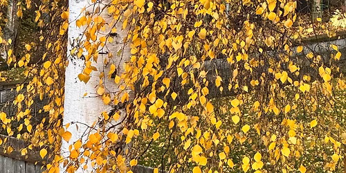 Anchorage Healing Group 