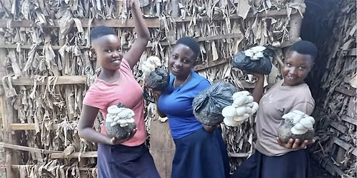 3rd Annual African Rising Mushroom Festival