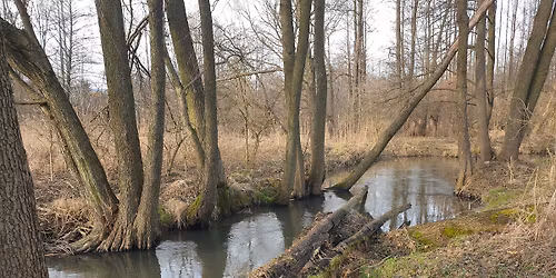 Wiosenne sprz\u0105tanie doliny Bystrzycy w gminie sobota, 28 marca 2026, godz. 10.00