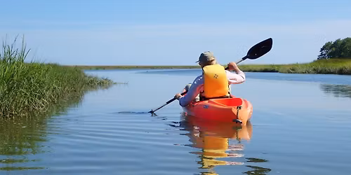 Kayaking on the Little River Estuary