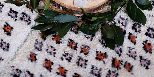 Women's November Sharing Circle