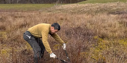 Kersal Conservation Session