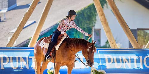 Steirische Landesmeisterschaft Youth, AWA-Championship