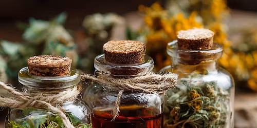 Herbal Immune Prep: Building Strength Before Fall