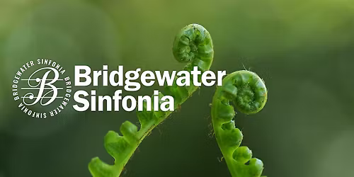 Bruch Violin Concerto N\u00b0 1