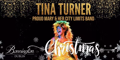 Tina Turner  "Proud Mary & Her City Limits Band"  Christmas Party