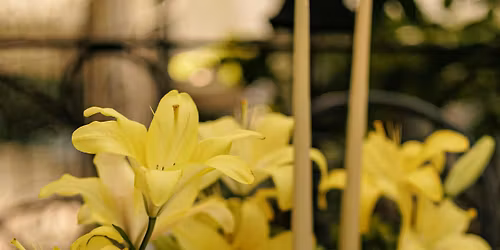 Garden Reverie - An Afternoon Tea at Calgo Gardens