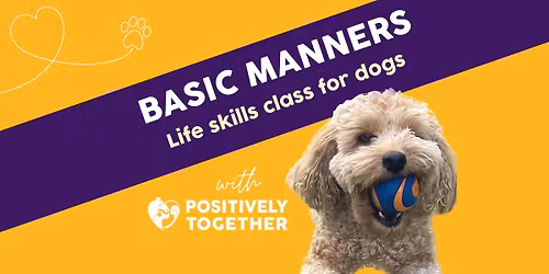 Basic Manners dog training class