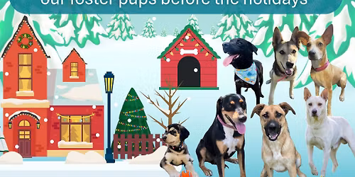 Home for the Holidays Adoption Event