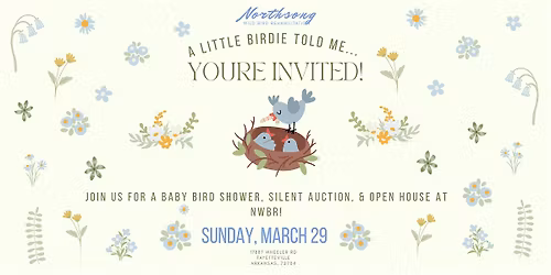 NWBR Baby Bird Shower