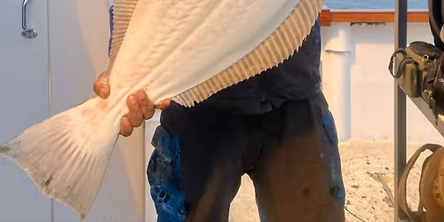 white sea bass halibut  trip 