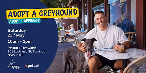 Greyhound Adoption Day at Petstock Tamworth