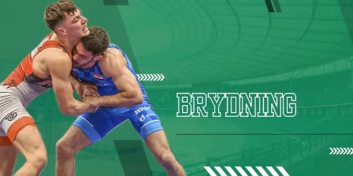 Holdmesterskabet 2025