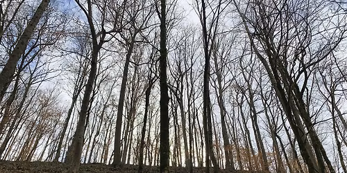 Joy Gleghorn Nature Preserve December Walk