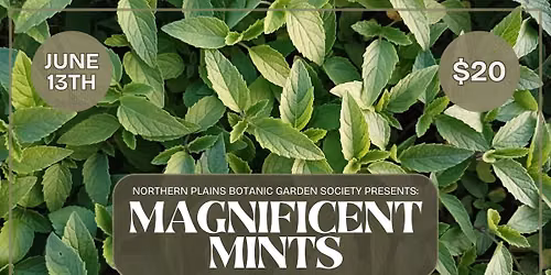 Magnificent Mints Workshop