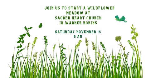 Wildflower Meadow Installation