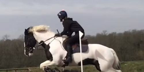 Pole work and introduction to Arena XC