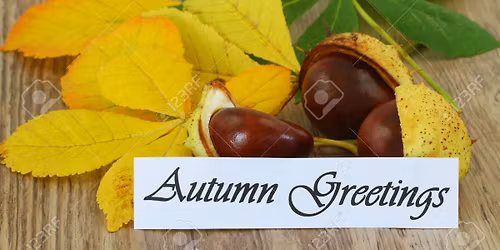 AUTUMNAL GREETING: SOUND BATH + GUIDED MEDITATION