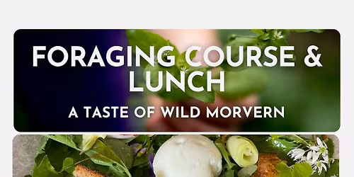 A Taste of Wild Morvern - Foraging Course and Lunch