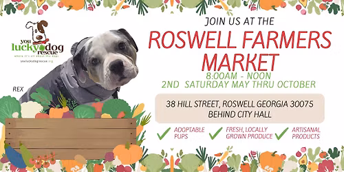 You Lucky Dog Rescue at the Roswell Farmers Market