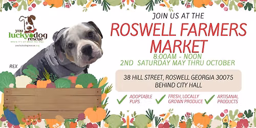 You Lucky Dog Rescue at the Roswell Farmers Market