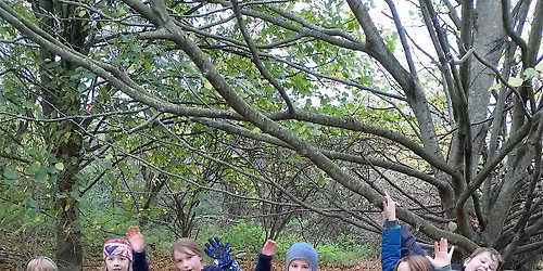 Young Rangers - Sutton Courtenay, Saturday 15 November