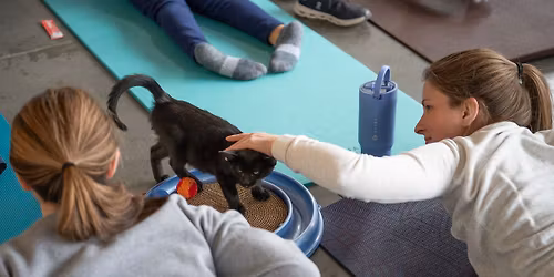 OCAS Pet Yoga
