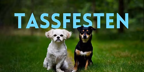 Tassfesten i Viskafors