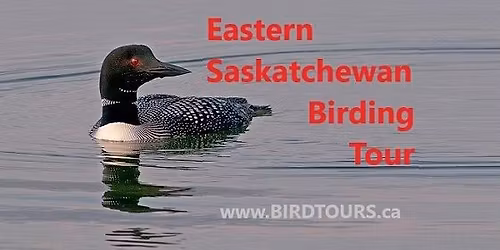Eastern Saskatchewan Birding Tour - Saskatoon: June 3 - 11