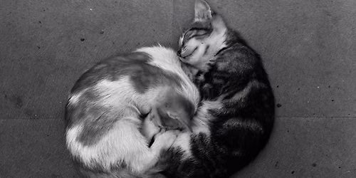June Group Acupuncture: Heart and Harmony