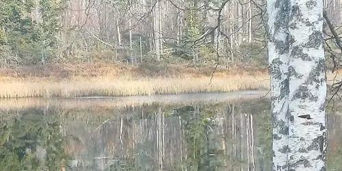 Treff med muligheter for kl\u00f8vtester m.m