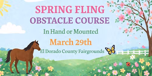 Spring Fling Obstacle Course