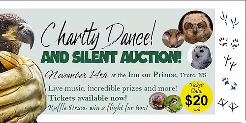 Charity Dance and Silent Auction