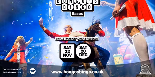 Bongo's Bingo Christmas Cracker Special
