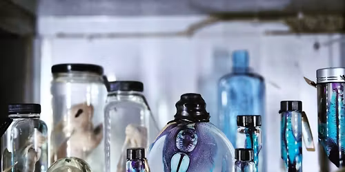 Dark Matter Oddities --- After Dark! \ud83c\udf19\ud83e\udd87\u2728