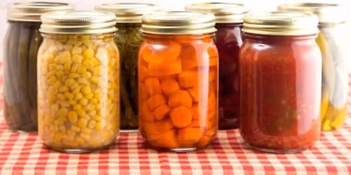 Food Preservation Workshop --- Drying Fruits and Vegetables