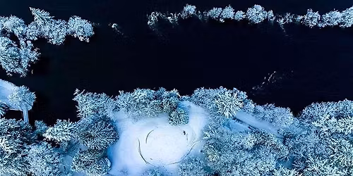 Winter Tree ID & Tall Tree Tales