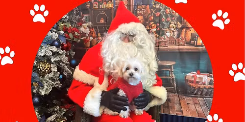 Santa Paws \ud83c\udf85\ud83c\udffc\ud83d\udc3e